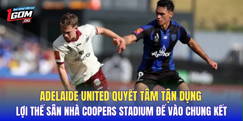 Adelaide United quyết tâm tận dụng lợi thế sân nhà Coopers Stadium để vào chung kết