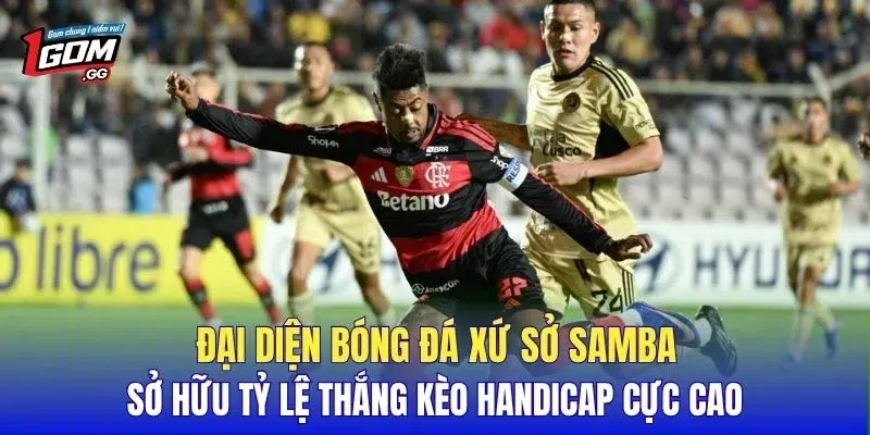 Đại diện bóng đá xứ sở Samba sở hữu tỷ lệ thắng kèo handicap cực cao